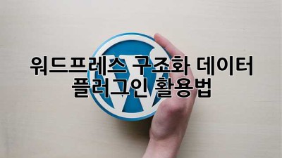 워드프레스 구조화 데이터 플러그인 활용법